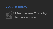 Rule&BRMS