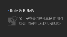 Rule&BRMS